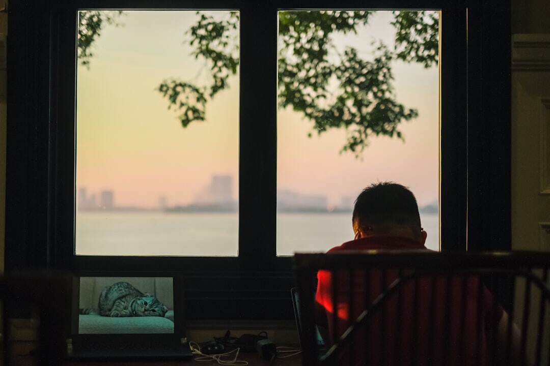 Person working on a laptop near a window